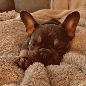 Meet your Posher, Audrey